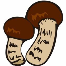 西麻布ワールドネイチャーファームイベント