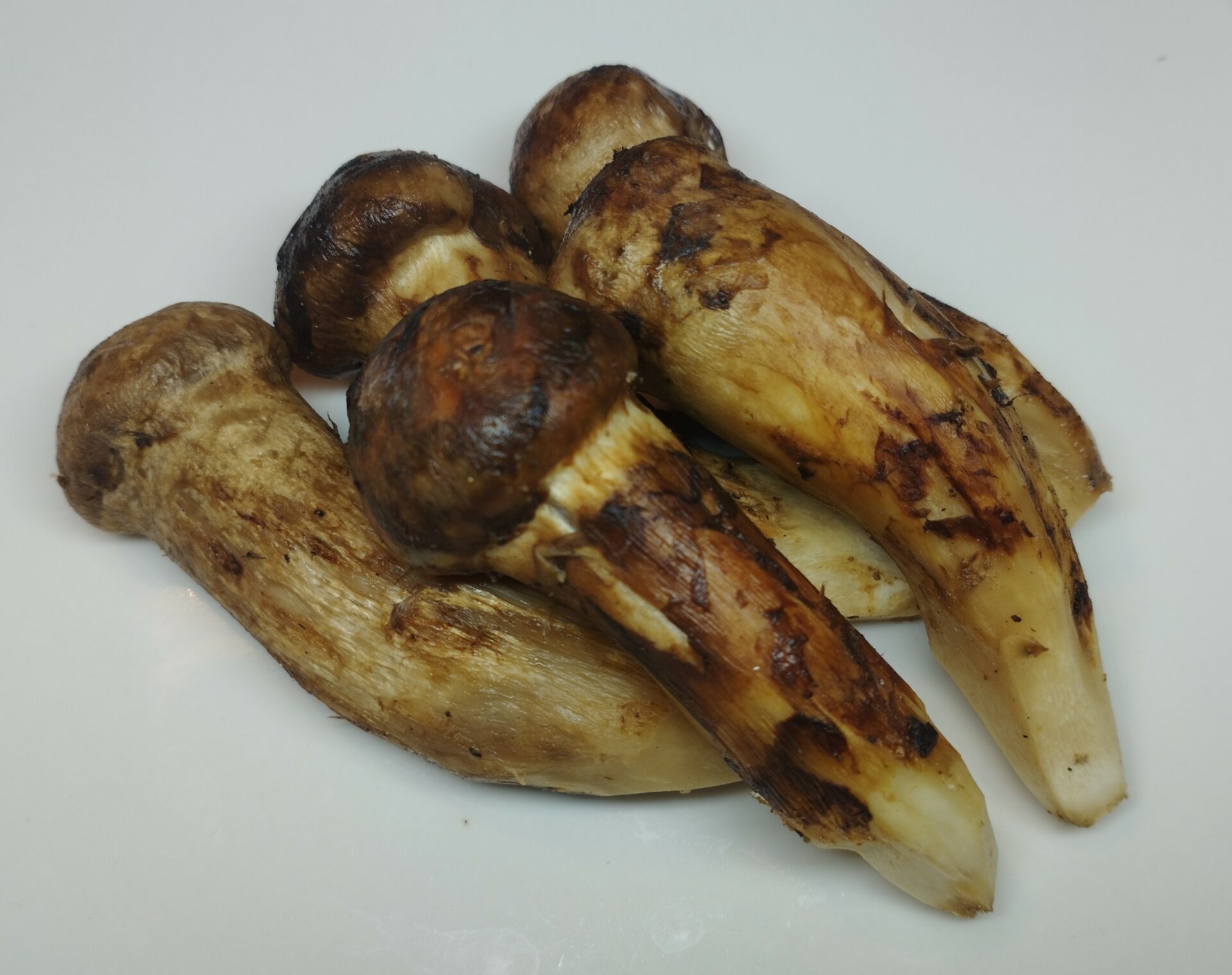 ブータン産松茸（冷凍）500g | ブータン松茸SHOP 