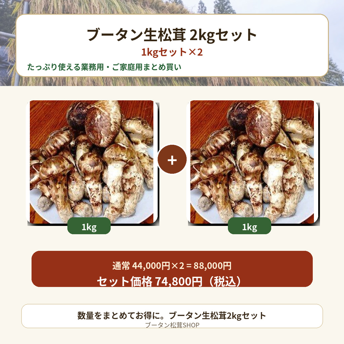 ブータン生松茸2kgセット