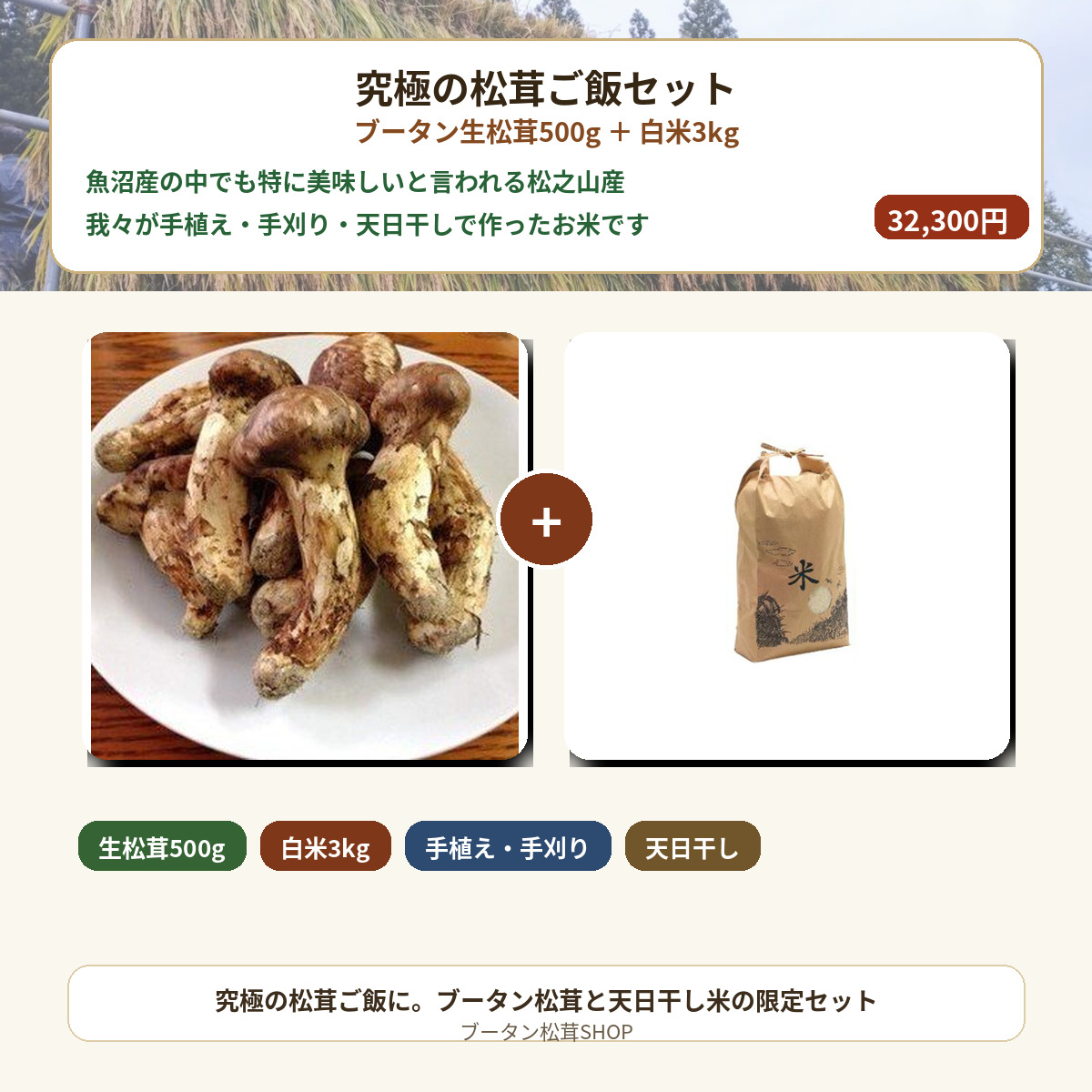 ブータン生松茸500g＋魚沼産（松之山産）天日干しこしひかり 白米3kgセット