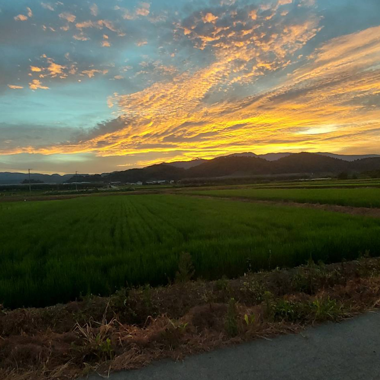 村山牛 保存写真 食べ比べ4